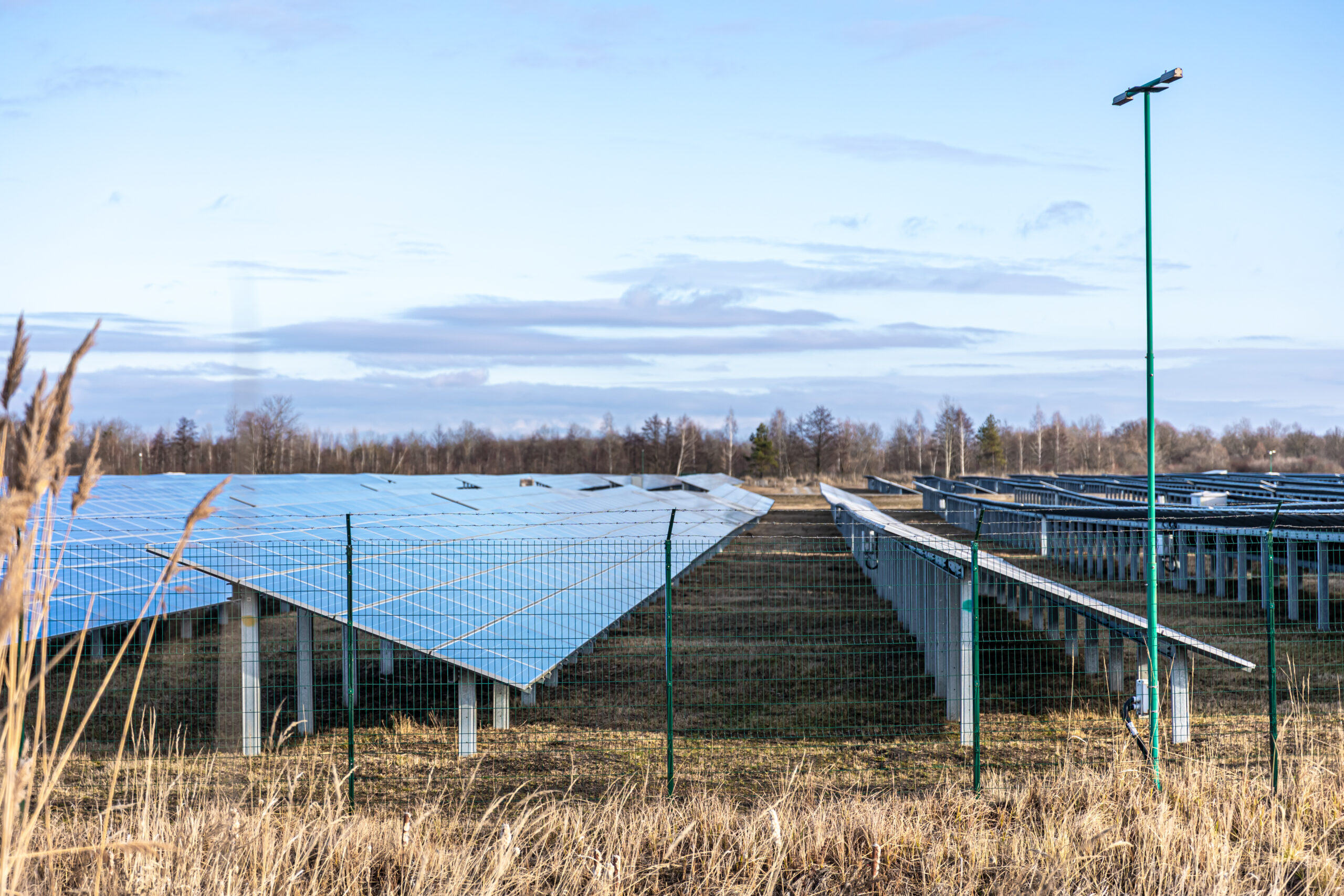 electric farm with panels for producing clean ecologic energy.
